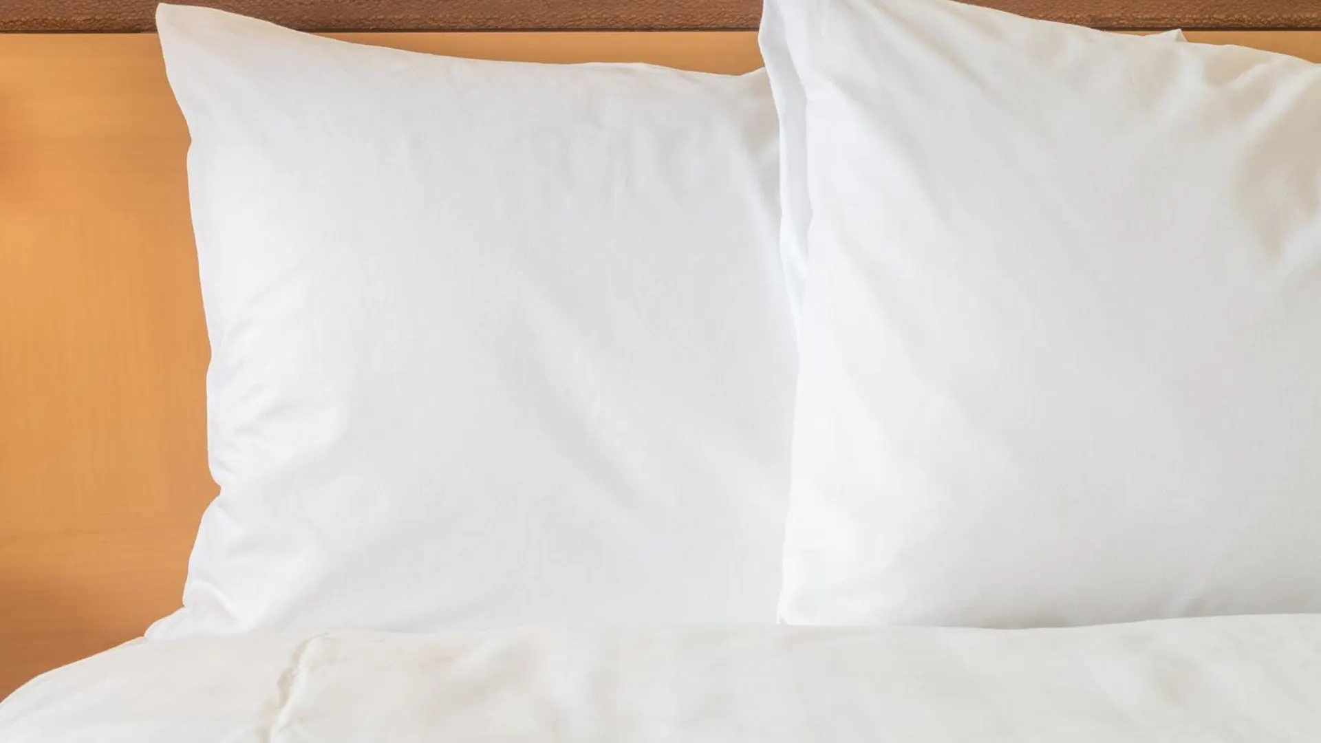 Crowne Plaza Seattle Newly Renovated With No Resort Fee Hotel